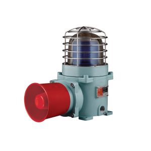 SESAS-WS-24-B | Blue